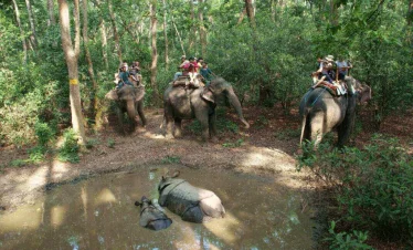 Kathmandu Chitwan Tour